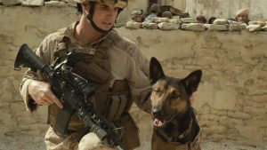 【戦場で心に傷を負った軍用犬と、兄を亡くした少年の再生の物語…と思いきや、後半は爆破アクション!?】米映画『マックス』評価・あらすじ・ネタバレ解説|犬好き必見、だけどツッコミどころ満載の迷作